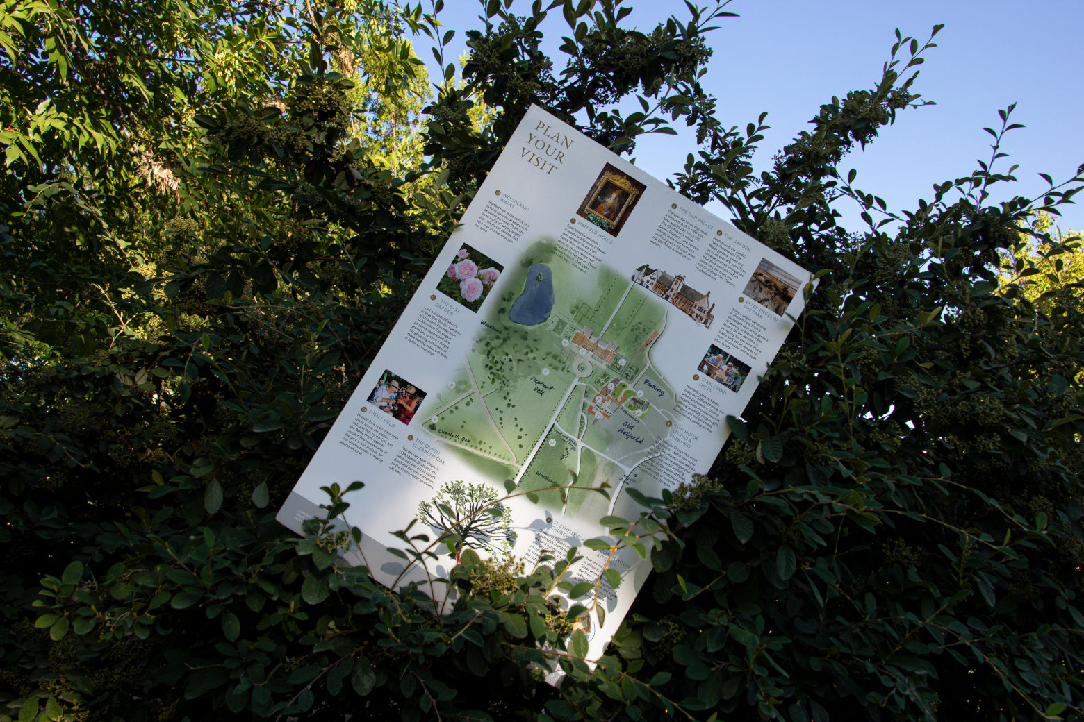 Hatfield Park Branding & Design Assets - Howl & Bray