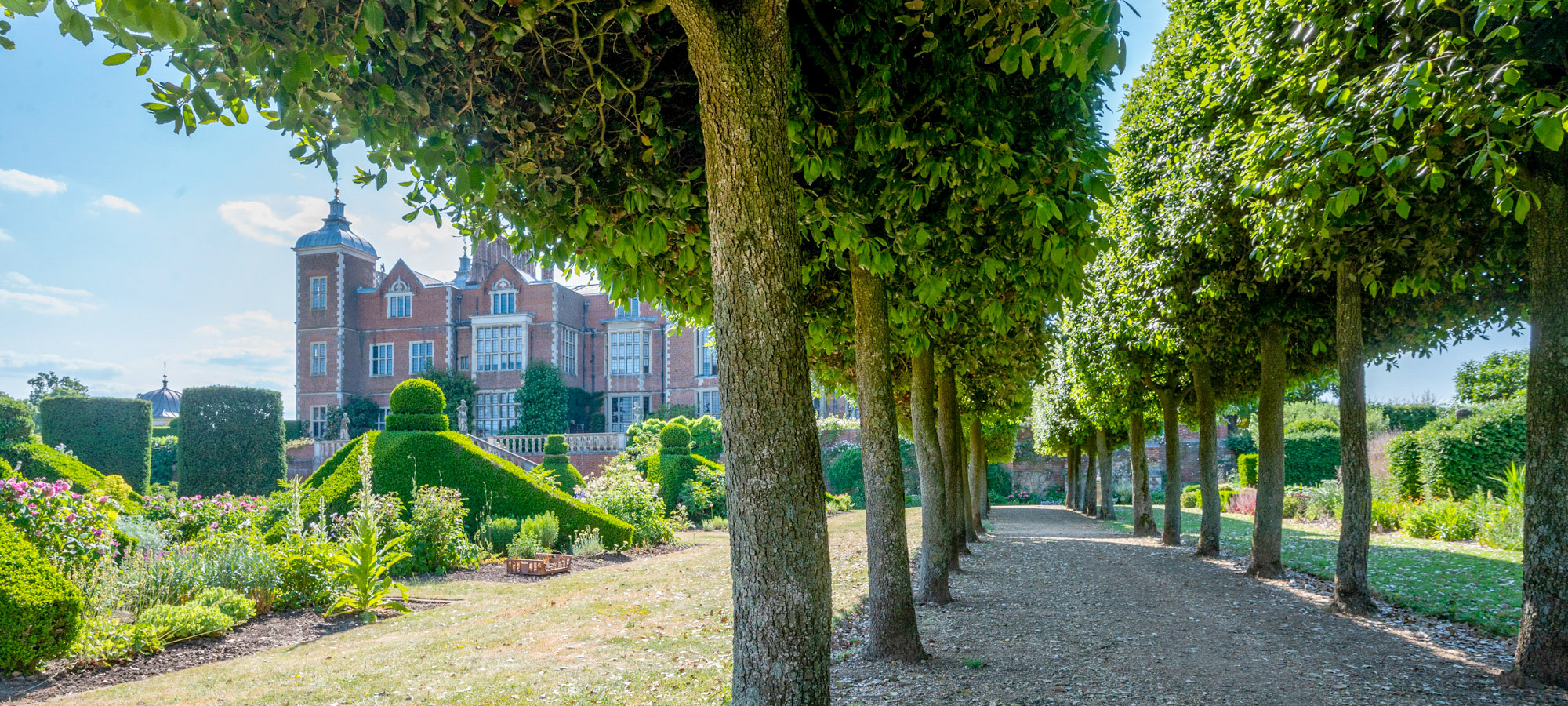 Hatfield Park Web Design & Branding